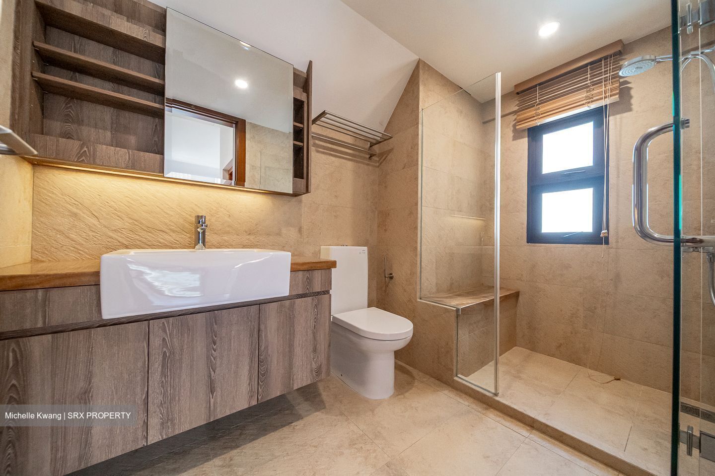 Holland Link (D10), Terrace #503034791